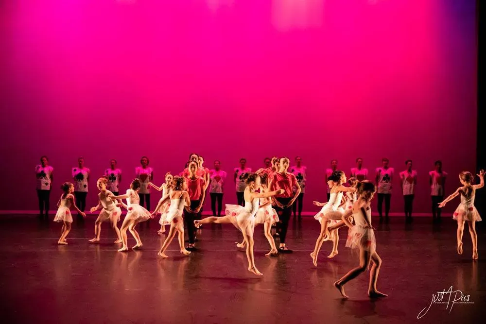 Spectacle juin 2019 (3)