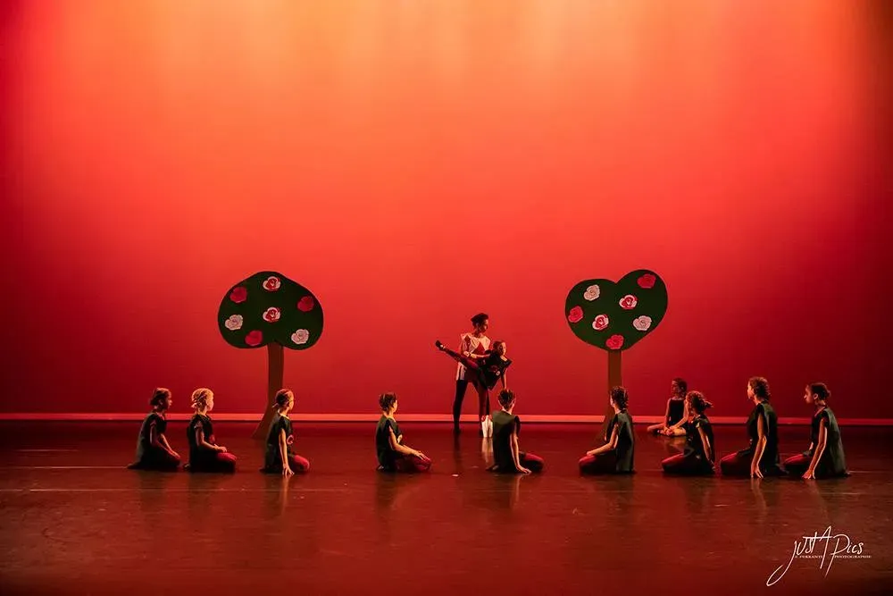 Spectacle juin 2019 (8)